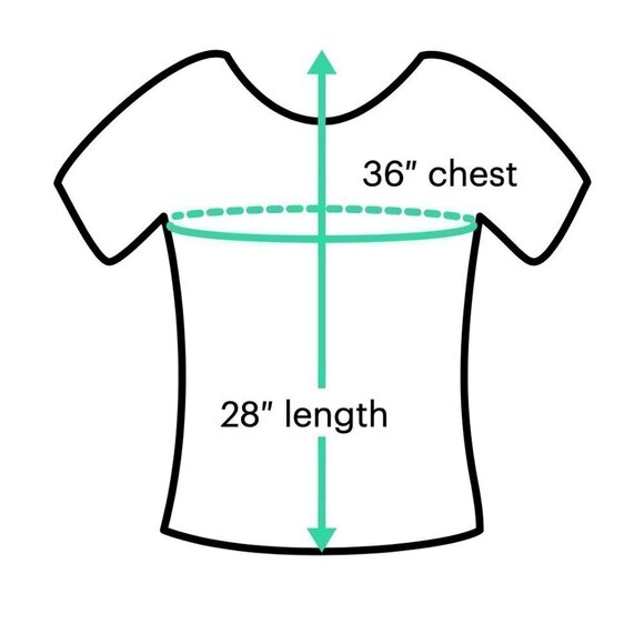 C&c California Long Sleeve Picnic Plaid Button-Down Shirt Size M - Picture 3 of 3